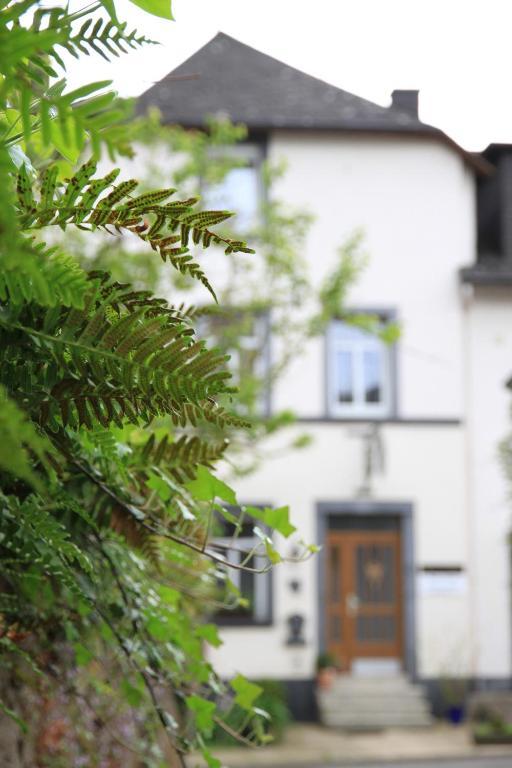 Ferienweingut Serwaziwein Mesenich Exteriér fotografie